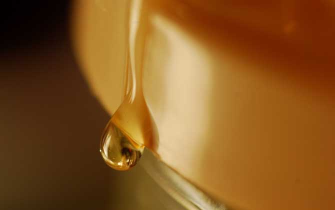 假蜂蜜是怎么做出來的? 假蜂蜜