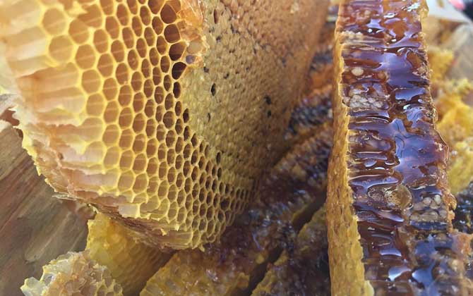 蜂蜜價格為什么高低不等? 蜂蜜