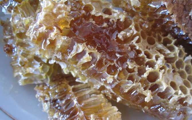 純野生蜂蜜二百元一斤貴嗎? 野生蜂蜜