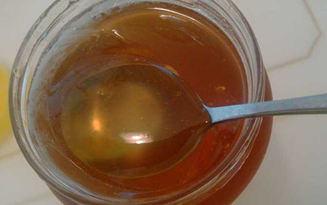 生姜蜂蜜水的功效與禁忌及做法 生姜蜂蜜水