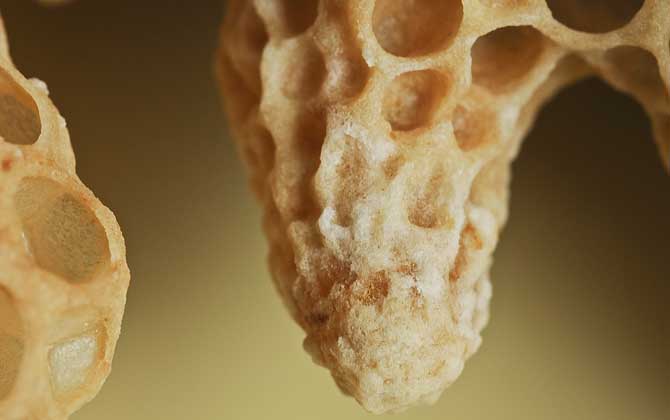 蜜蜂王臺(tái)是怎么形成的? 蜜蜂王臺(tái)