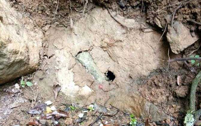 什么時候挖誘蜂洞最好? 誘蜂洞