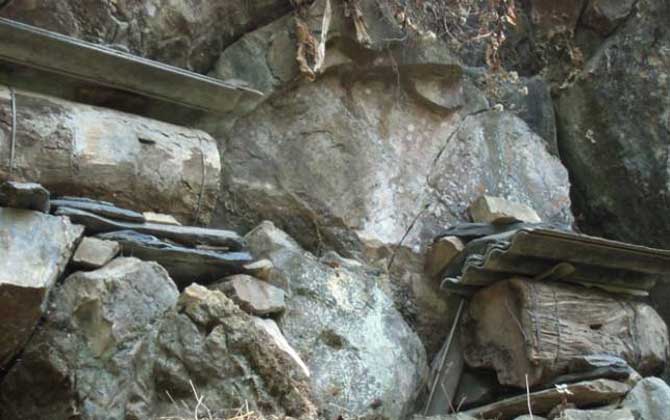 誘蜂用鹽真的有效果嗎? 誘蜂