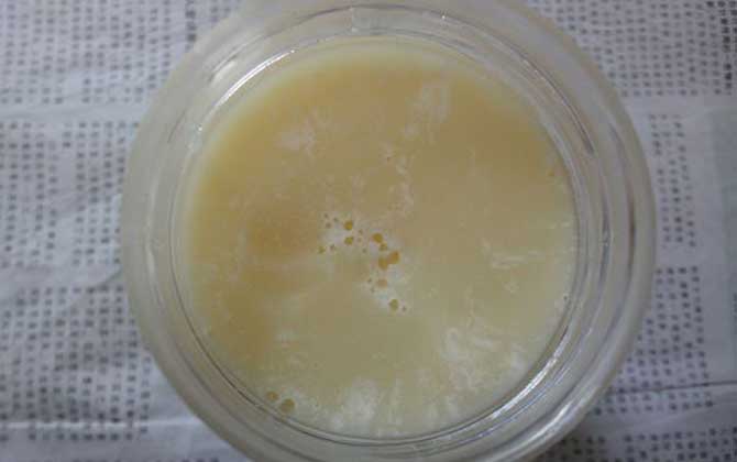 蜂蜜變質(zhì)是什么樣子的?蜂蜜有這幾個(gè)現(xiàn)象,說明蜂蜜已經(jīng)變質(zhì)了! 蜂蜜