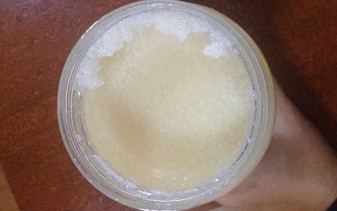 蜂蜜酸奶面膜怎么做?實(shí)際上很簡(jiǎn)單,但用法不正確反而損害肌膚! 蜂蜜