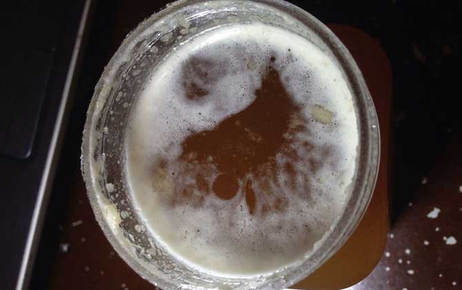 蜂蜜是酸性還是堿性?從pH上看蜂蜜是酸性,但食物性質則是堿性! 蜂蜜