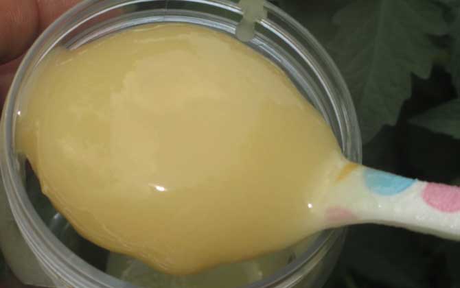 喝蜂蜜水會胖嗎?關鍵看飲用量,過量喝會長胖,適量喝反而減肥! 蜂蜜