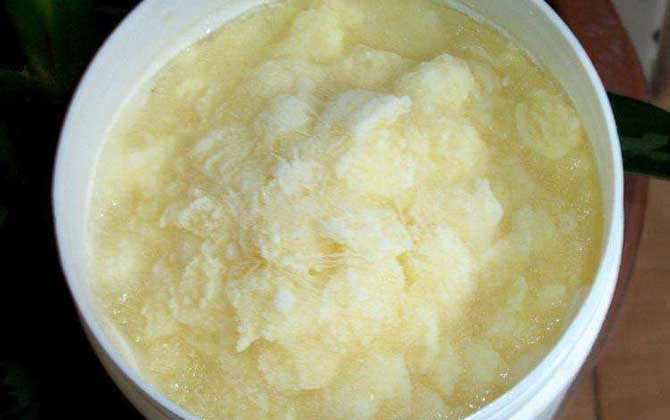 蜂王漿是怎么來的?生產(chǎn)過程復(fù)雜且產(chǎn)量低,難怪價格賣得這么貴! 蜂王漿