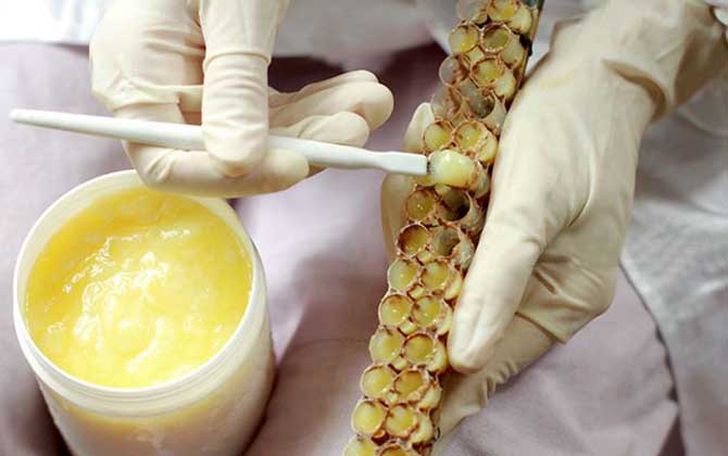 蜂王漿是怎么來的?生產(chǎn)過程復(fù)雜且產(chǎn)量低,難怪價格賣得這么貴! 蜂王漿