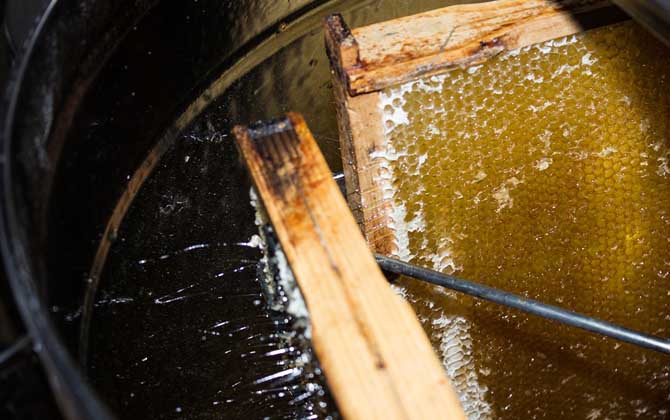 百花蜜的功效與作用有哪些?不但能增強體質,而且還能美容養顏! 百花蜜