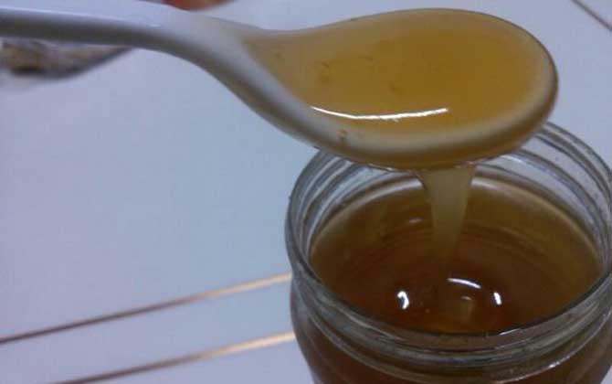 枸杞蜂蜜的作用與功效有哪些?不但能增強體質,還能補腎壯陽! 枸杞蜂蜜