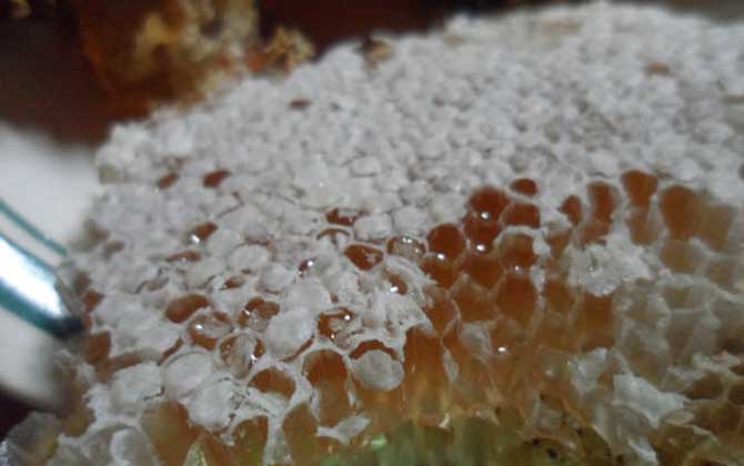 吃土蜂蜜的禁忌有哪些?除了不能過量食用,還不能長期空腹食用! 土蜂蜜
