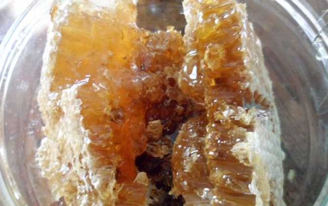 吃土蜂蜜的禁忌有哪些?除了不能過量食用,還不能長期空腹食用! 土蜂蜜