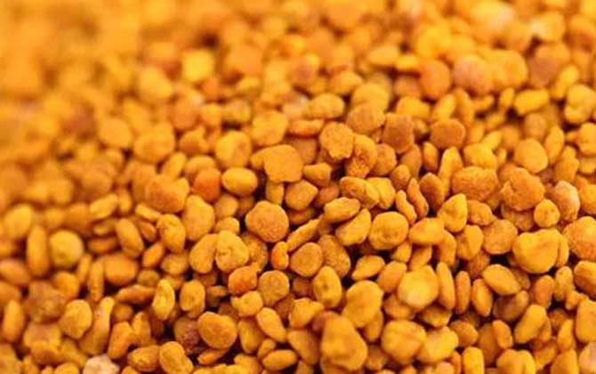 茶花粉的功效與作用有哪些?經常吃些茶花粉,這6個好處跑不了! 茶花粉