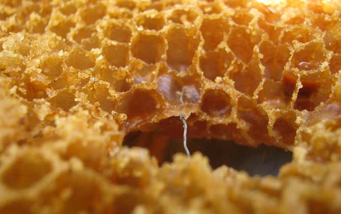 蜂巢酒的禁忌有哪些?除了不能過量飲用,還要警惕發生過敏反應! 蜂巢