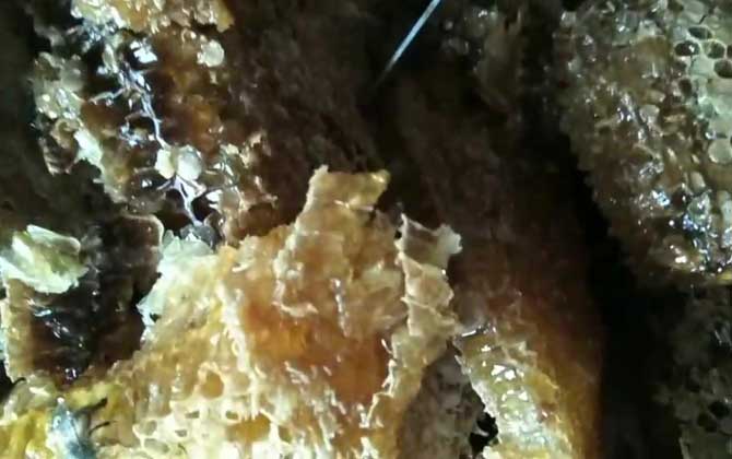 純土蜂蜜一斤多少錢?基本都在100元以上,低于60元想都不用想! 土蜂蜜