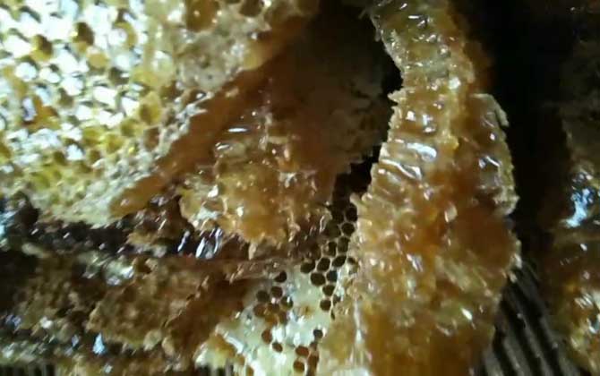 純土蜂蜜一斤多少錢?基本都在100元以上,低于60元想都不用想! 土蜂蜜