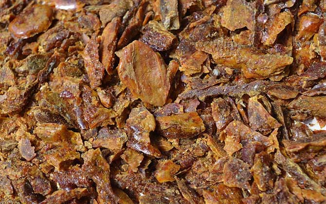 蜂膠哪4類人不能吃?除了要提防過(guò)敏,孕婦和幼兒也不能吃蜂膠! 蜂膠