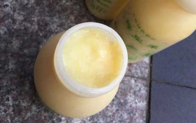 蜂王漿的保質(zhì)期是多久?常溫下3天就會(huì)變質(zhì),冷凍后能保存兩年! 蜂王漿