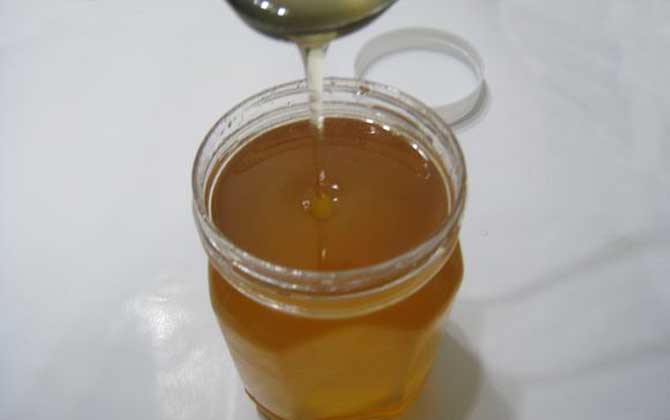 荊條蜜的功效與作用有哪些?經常喝些荊條蜜,這5個好處跑不掉! 荊條蜜