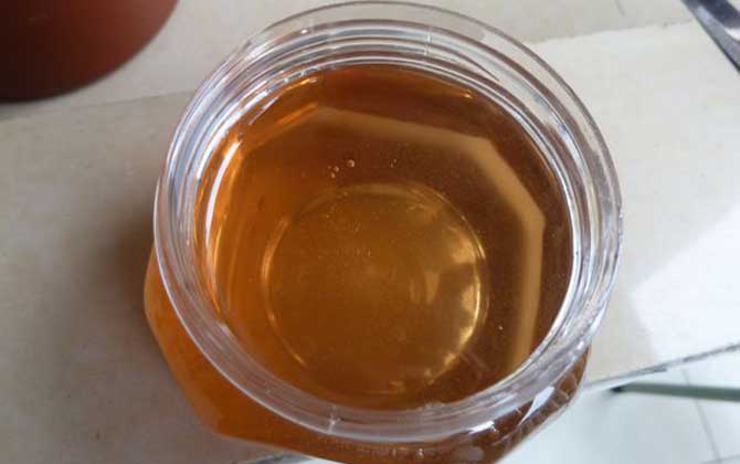 牛奶加蜂蜜喝死人是真的嗎?純粹是謠言,二者實際上是絕佳搭配! 蜂蜜