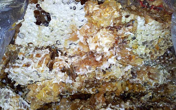 土蜂蜜的作用與功效有哪些?經(jīng)常喝土蜂蜜,這7個(gè)好處跑不了! 土蜂蜜