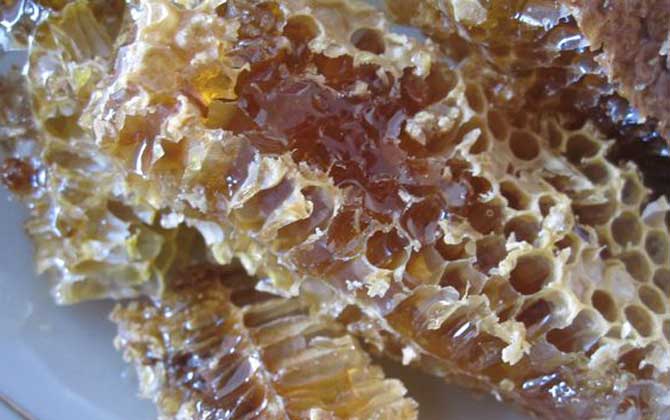 土蜂蜜的作用與功效有哪些?經(jīng)常喝土蜂蜜,這7個(gè)好處跑不了! 土蜂蜜