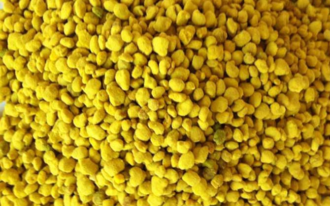 油菜花粉的功效與作用,經常吃油菜花粉,這7個好處跑不了! 油菜花粉