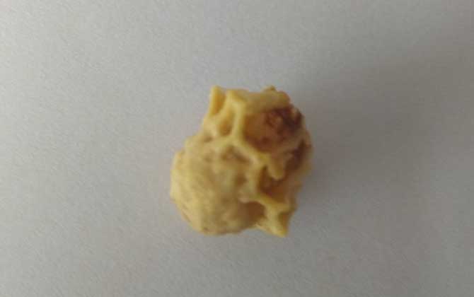 中蜂王臺多久看一次?阻止分蜂1周看一次,若要分蜂3天看一次! 王臺