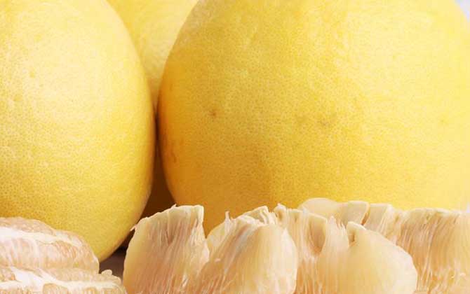 自制蜂蜜柚子茶怎么做?只需5步就能做好,既簡(jiǎn)單又好喝! 蜂蜜柚子茶