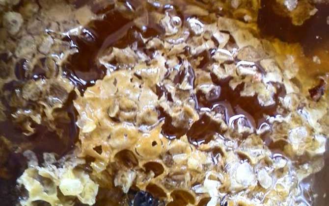 女人吃蜂巢有什么好處?不但能增強抗病力,還有美容養顏效果! 蜂巢