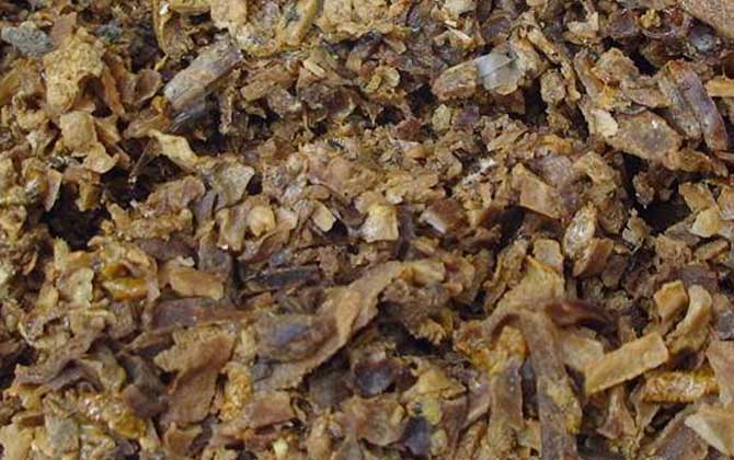 沒加工的蜂膠怎么吃?不建議食用,吃沒加工的蜂膠容易中毒! 蜂膠