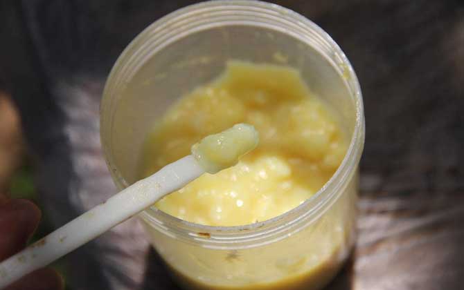 三類女性不宜喝蜂王漿,這三類女性喝蜂王漿反而不利于健康! 蜂王漿