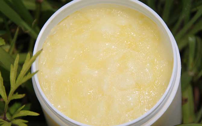 女性吃蜂王漿的最佳時間,建議盡量空腹食用,但不能過量食用! 蜂王漿