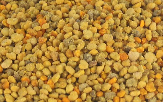 女人長期吃花粉好嗎?對健康大有好處,但絕對不能過量食用! 花粉