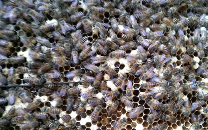 工產群怎么介王安全? 工產群介王