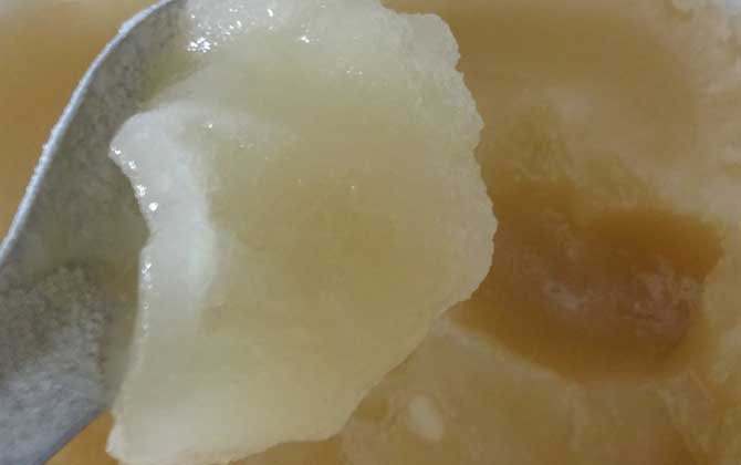 雪脂蓮蜜的作用與功效及食用方法 雪脂蓮蜜