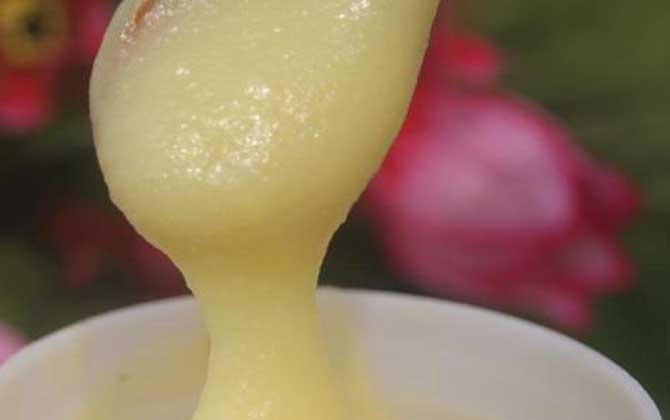 荊條蜜的功效與作用及食用方法 荊條蜜