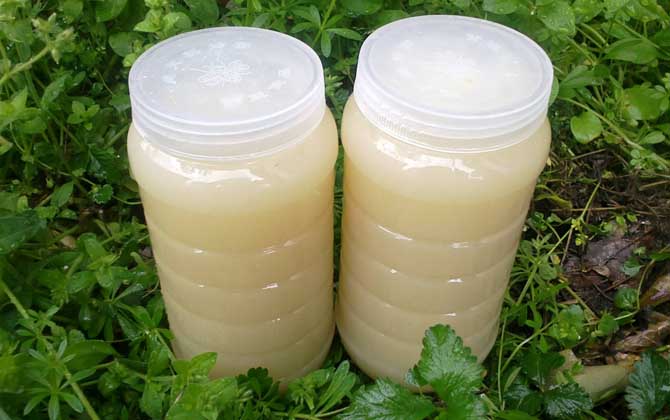 油菜花蜂蜜為什么沒賣的? 油菜花蜂蜜