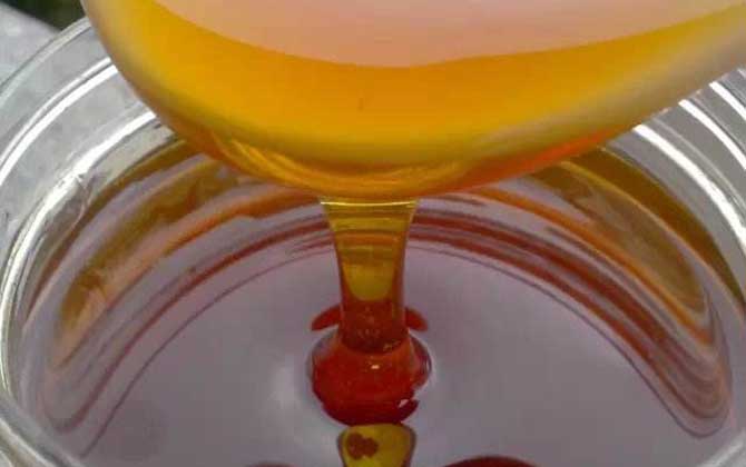 棗花蜜的作用與功效及食用方法 棗花蜜