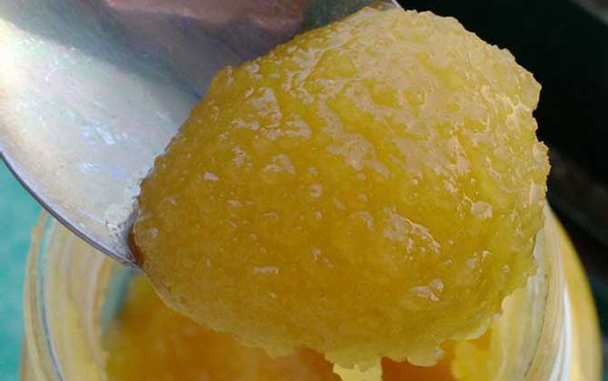 葵花蜜的功效與作用及食用方法 葵花蜜