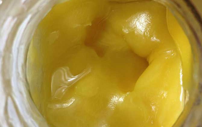 葵花蜜的功效與作用及食用方法 葵花蜜