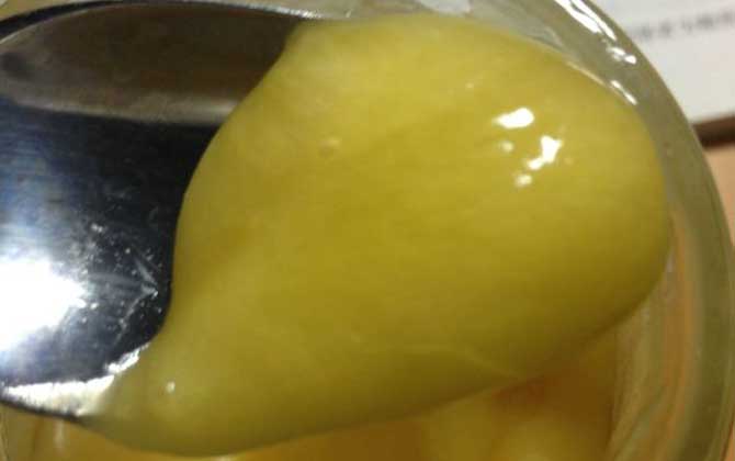 葵花蜜的功效與作用及食用方法 葵花蜜