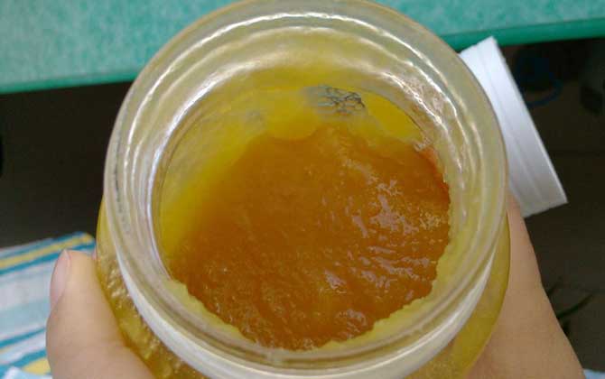 葵花蜜的功效與作用及食用方法 葵花蜜