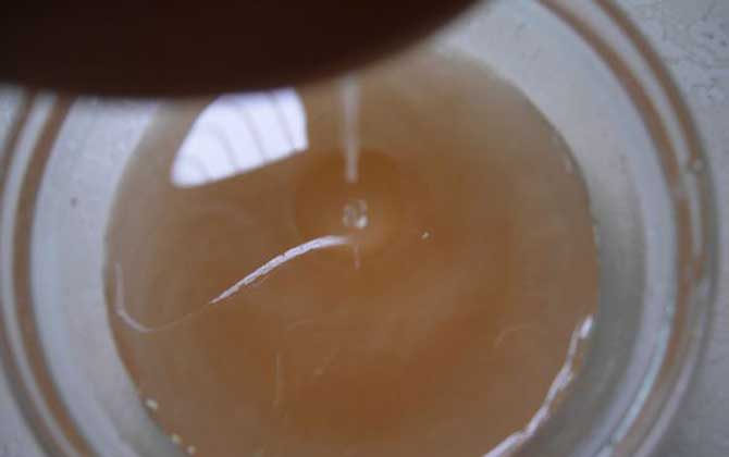 棉花蜜的功效與作用及食用方法 棉花蜜