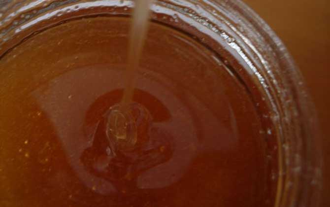 合歡蜂蜜的功效與作用及食用方法 合歡蜂蜜