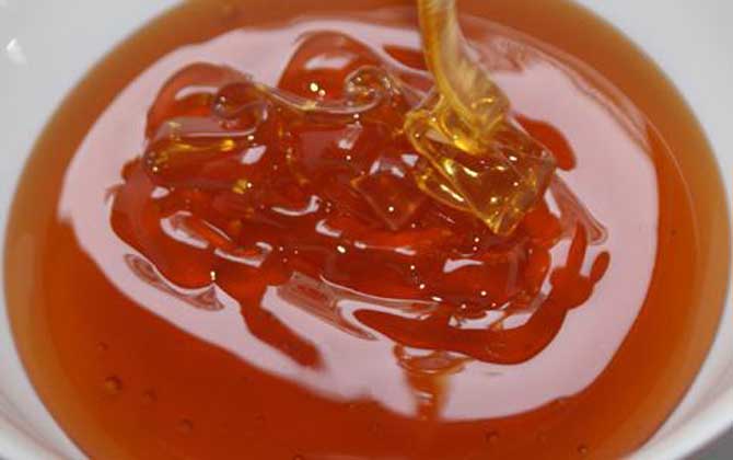 五倍子蜜的作用與功效及食用方法 五倍子蜜