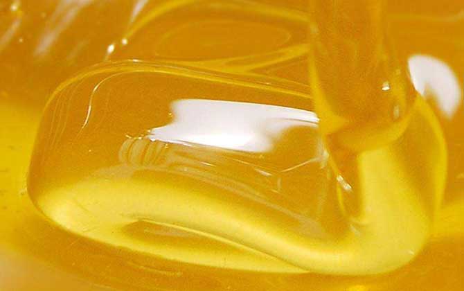 野玫瑰蜜的作用與功效及食用方法 野玫瑰蜜