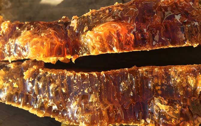 蜂蜜價(jià)格為什么有高有低? 蜂蜜