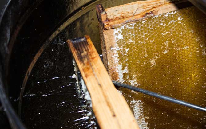 蜂蜜價(jià)格為什么有高有低? 蜂蜜